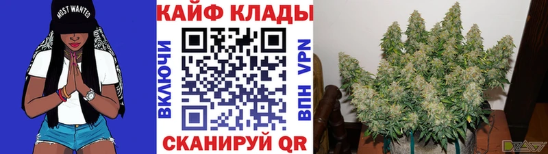 Галлюциногенные грибы Салехард