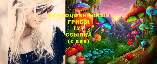альфа пвп Нязепетровск